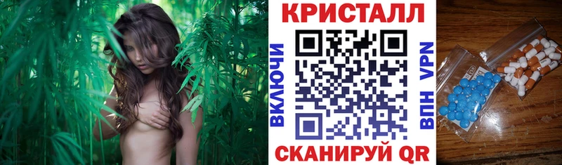 купить наркоту  Электрогорск  Amphetamine 97% 