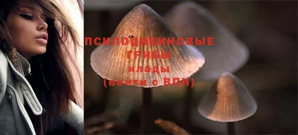 ECSTASY Алексин