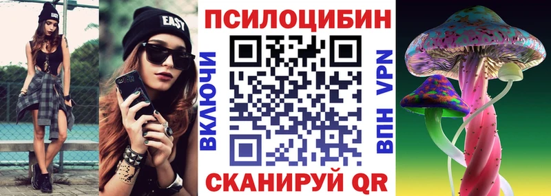 купить закладку  Электрогорск  Галлюциногенные грибы мухоморы 