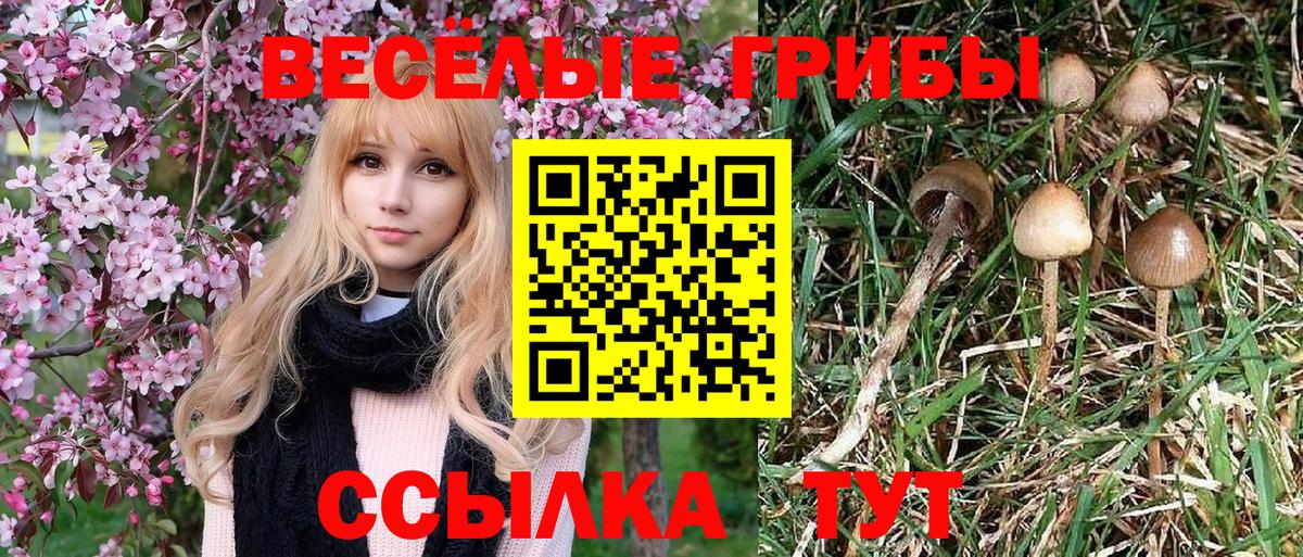 Псилоцибиновые грибы ЛСД Электрогорск