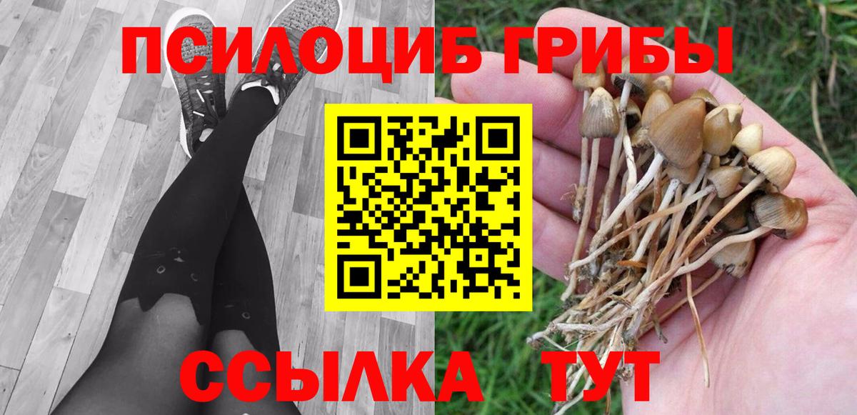 Псилоцибиновые грибы Cubensis  Галлюциногенные грибы прущие грибы  Вход с VPN  Электрогорск 