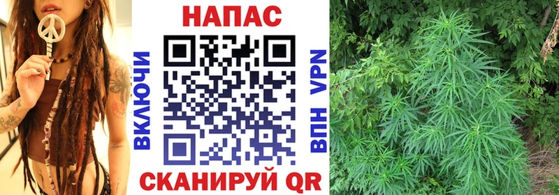 Бошки Шишки тримм как найти наркотики Электрогорск