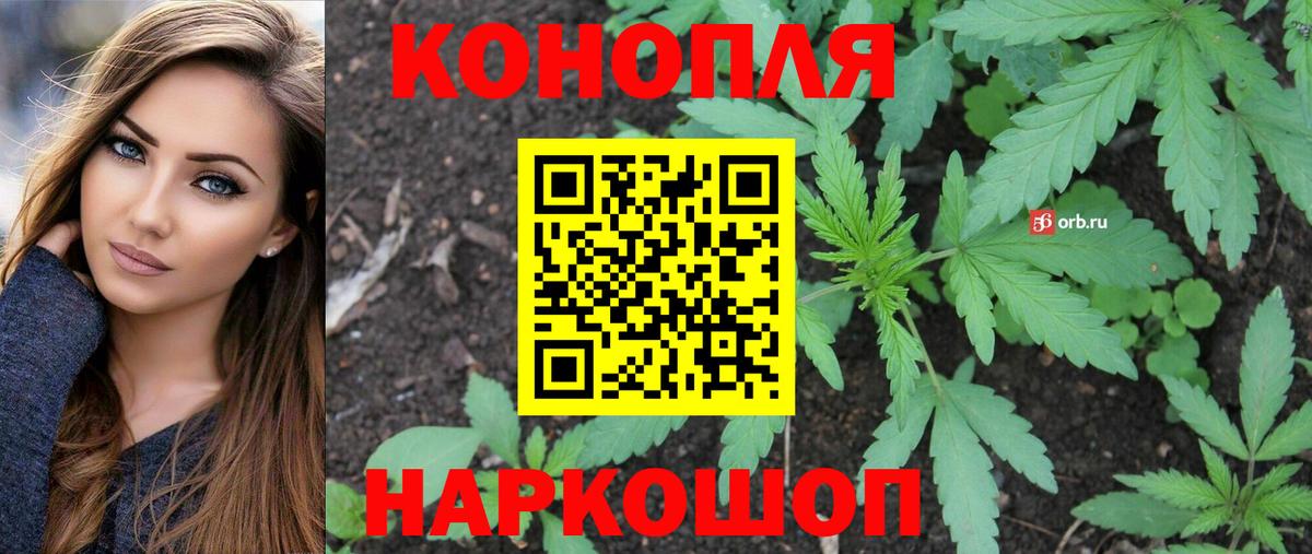 Марихуана план Электрогорск